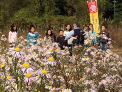 特設クラブ 愛川町立半原小学校